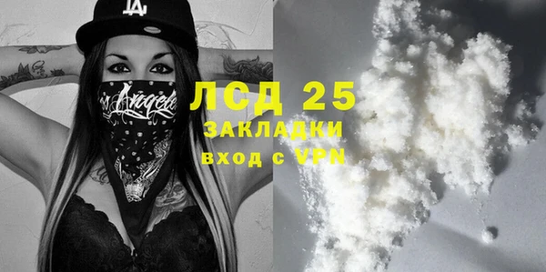 PSILOCYBIN Новодвинск