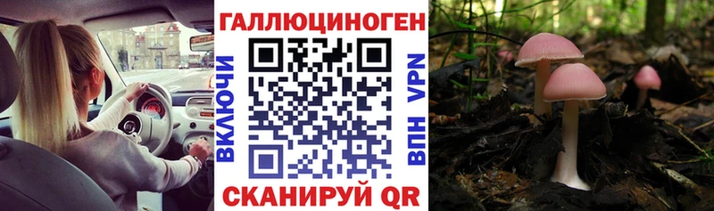 Галлюциногенные грибы ЛСД  закладка  Темников 
